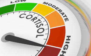 Managing Cortisol Levels